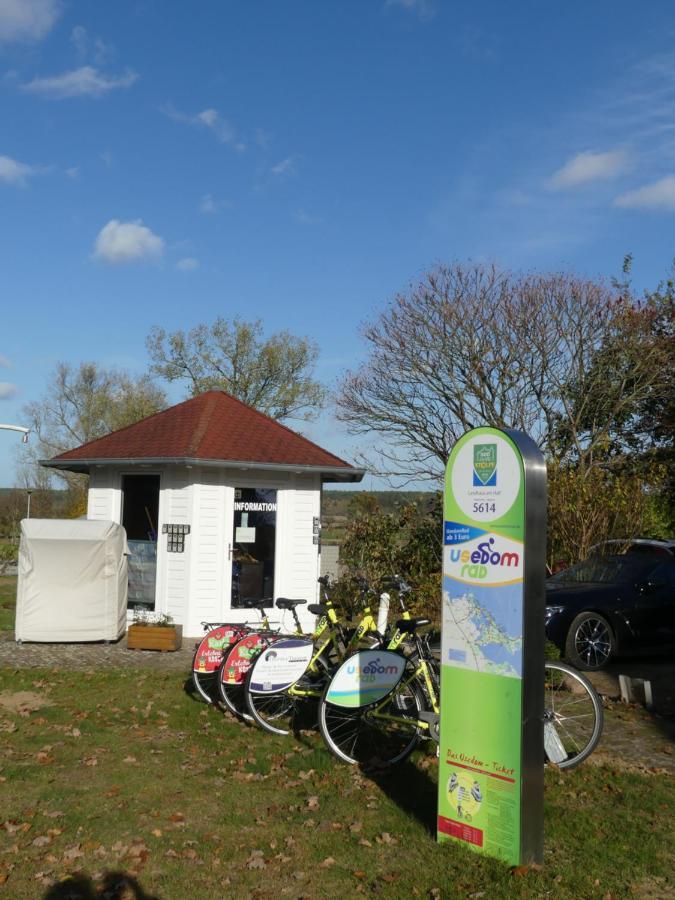 Landhaus Am Haff Stolpe auf Usedom ภายนอก รูปภาพ