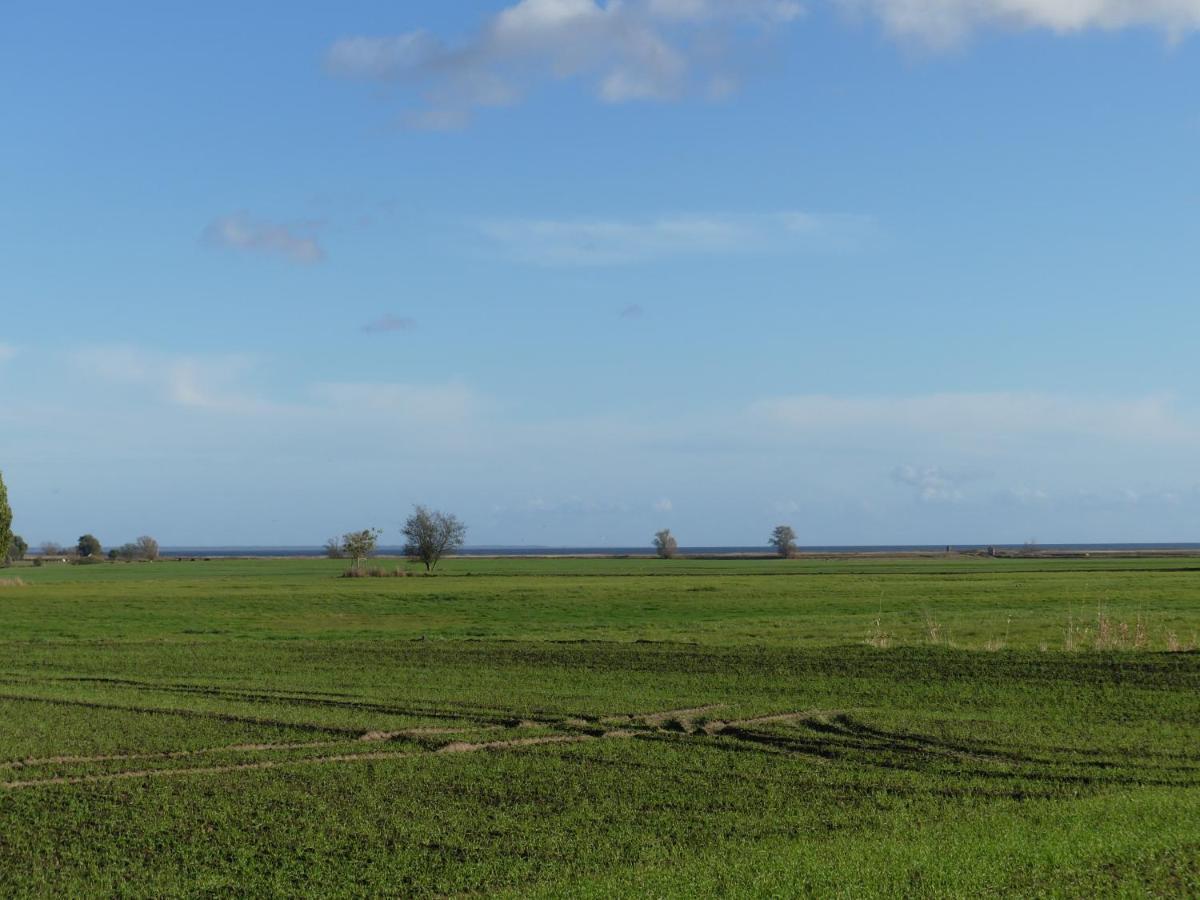 Landhaus Am Haff Stolpe auf Usedom ภายนอก รูปภาพ