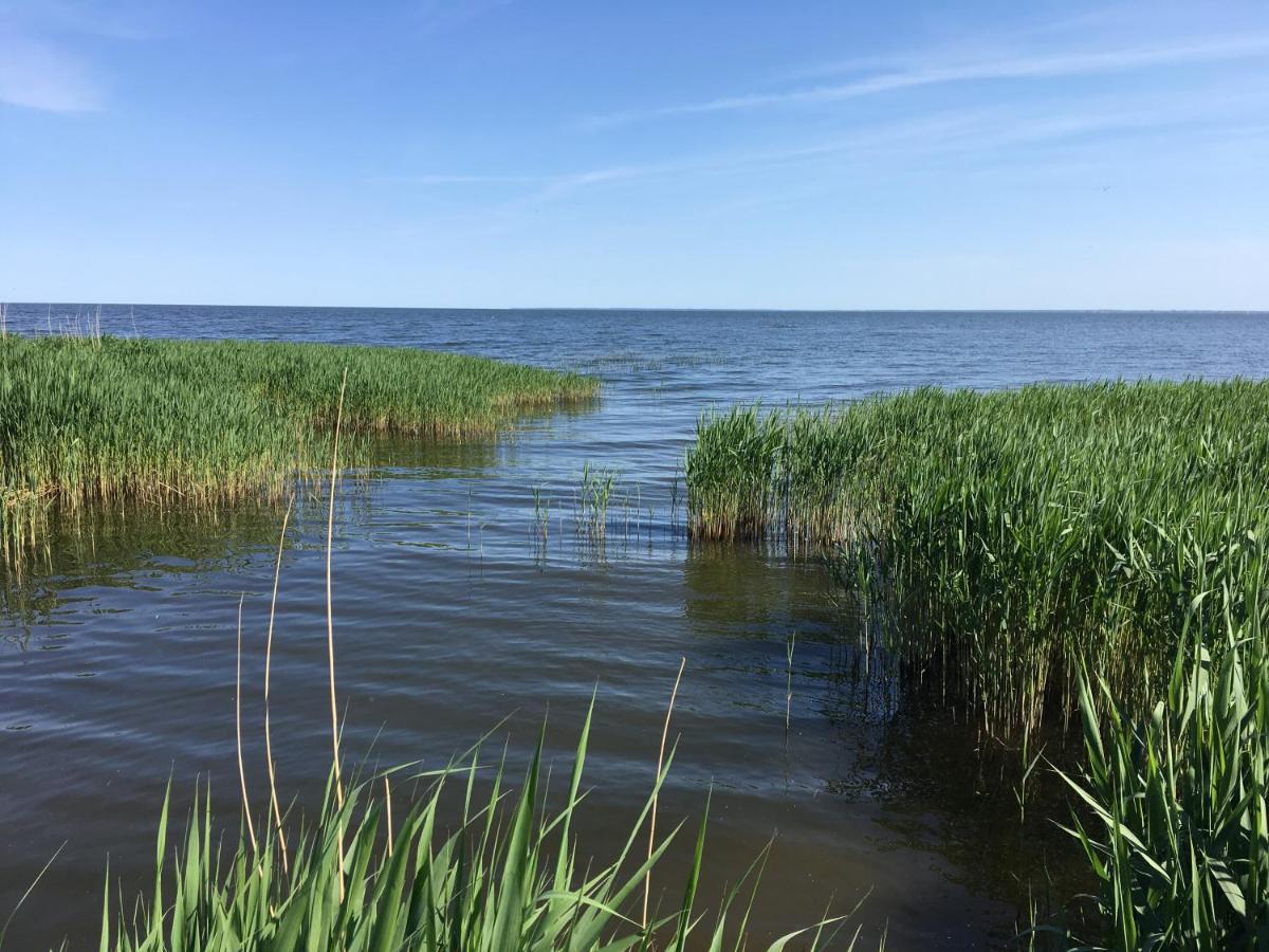Landhaus Am Haff Stolpe auf Usedom ภายนอก รูปภาพ