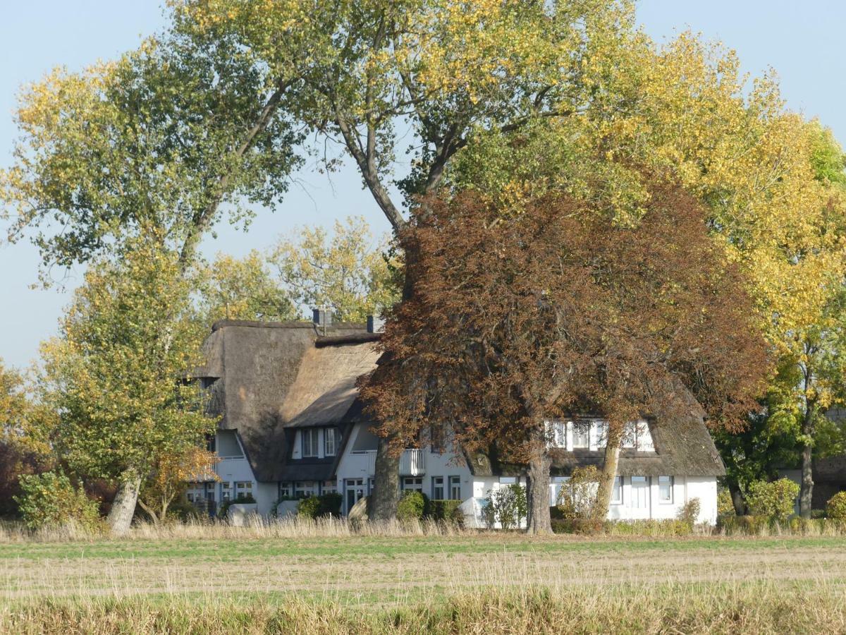 Landhaus Am Haff Stolpe auf Usedom ภายนอก รูปภาพ
